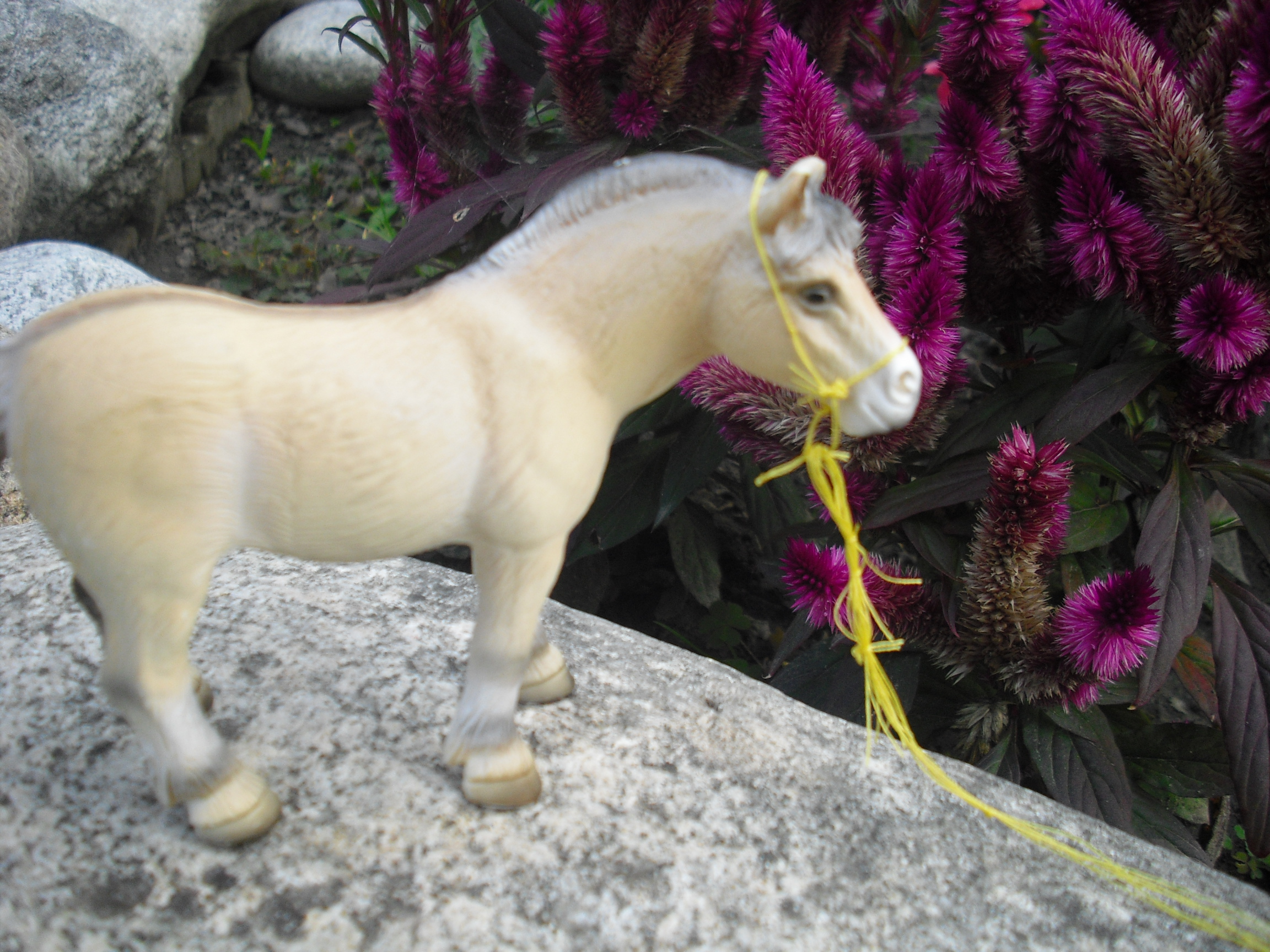 schleich-006